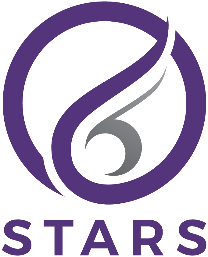 Northern Stars Netball logo